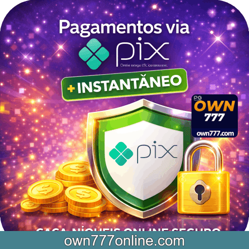 OWN777 PIX + segurança